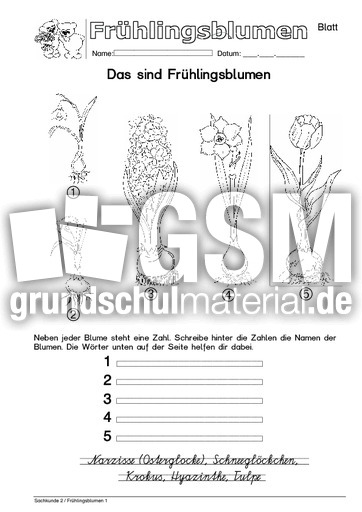 Arbeitsblatt S95 1.pdf